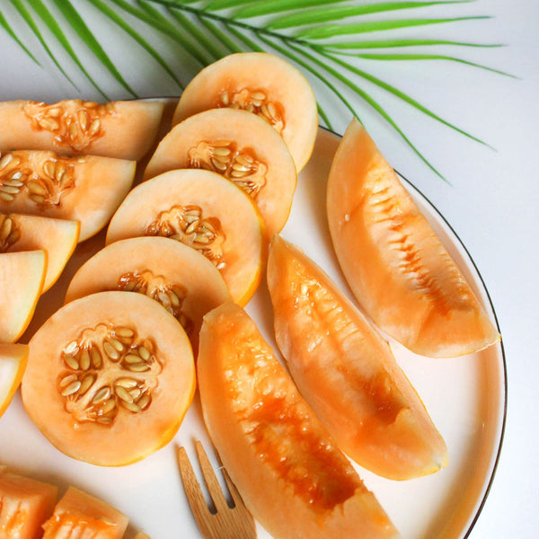 Beta-carotene Melon 베타카로틴 멜론 2-3kg
