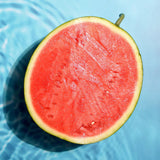 Seedless Watermelon 씨 없는 수박 7-8kg