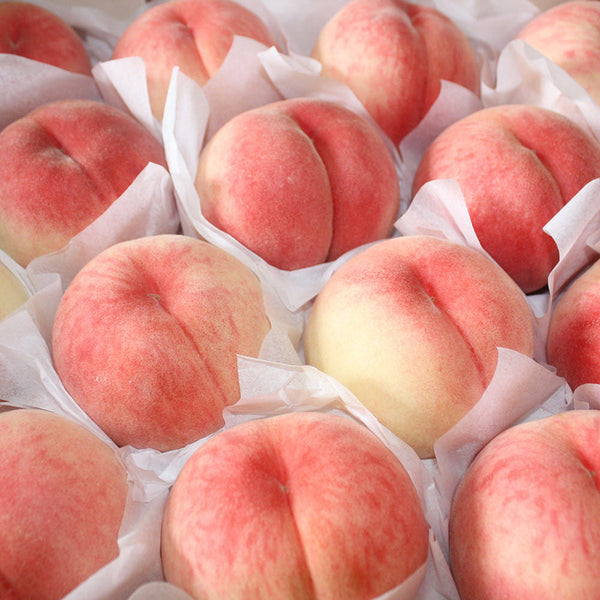 Deliver 8 Aug. Premium Korean White Peach 백도 복숭아 2.5kg 8pcs