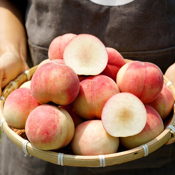 Deliver 8 Aug. Premium Korean White Peach 백도 복숭아 2.5kg 8pcs