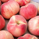 Deliver 8 Aug. Premium Korean White Peach 백도 복숭아 2.5kg 8pcs