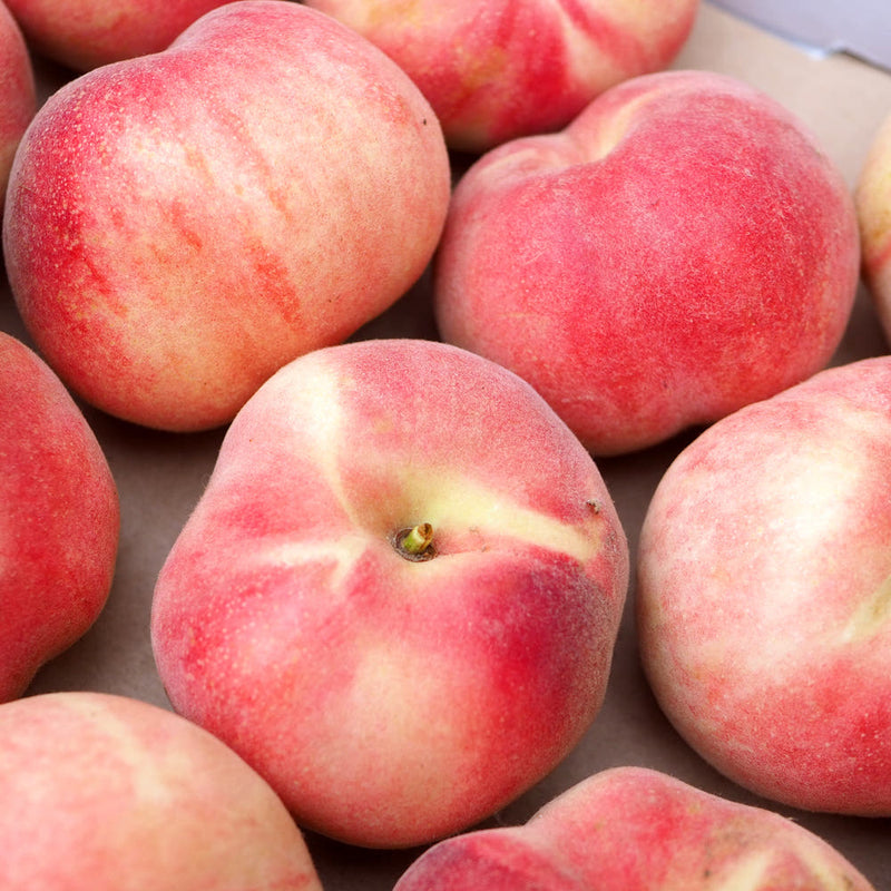 Deliver 8 Aug. Premium Korean White Peach 백도 복숭아 2.5kg 8pcs
