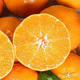 Premium Red Hyang Mandarins 레드향 선물세트 - 2kg