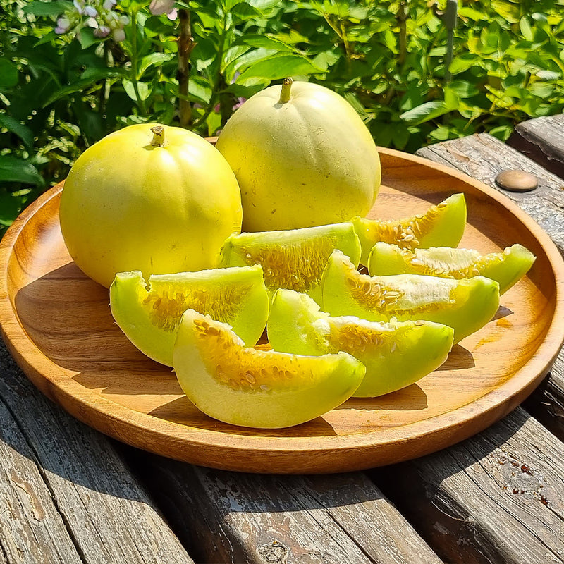 Deliver 28 Sep. (Pre-Order) Premium Korean AppleMelon 애플멜론 4~6pc Approx. 1.6kg
