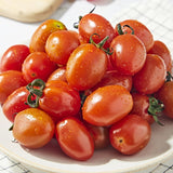 Premium Korean Honey Sweet Tomato Applemato 스테비아 토마토 1KG