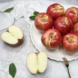 WHOLESALE - Deliver 22 Sep. (Pre-Order) Premium Korean Apples 감홍 사과 10kg (22-30pc) 1 Box