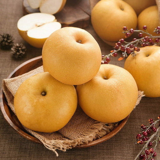 Deliver 19 Sep. Korean Premium Singo Pear 신고배 선물세트 Gift Set 5~7PC 5KG