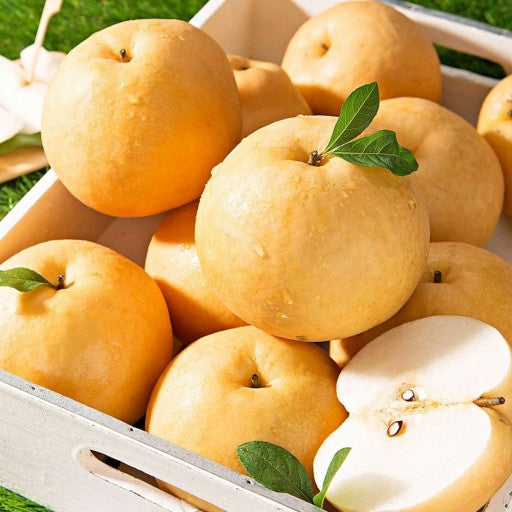 Deliver 19 Sep. Korean Premium Singo Pear 신고배 선물세트 Gift Set 5~7PC 5KG