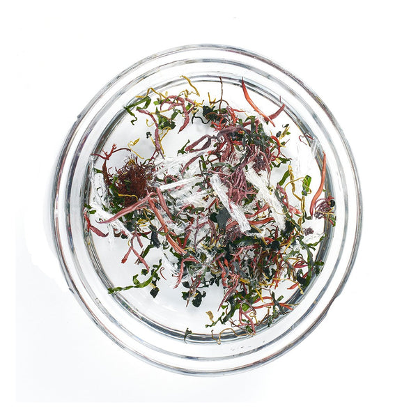 WHOLESALE - (Pre-Order) Seaweed Salad blend 모듬해초 - 7g