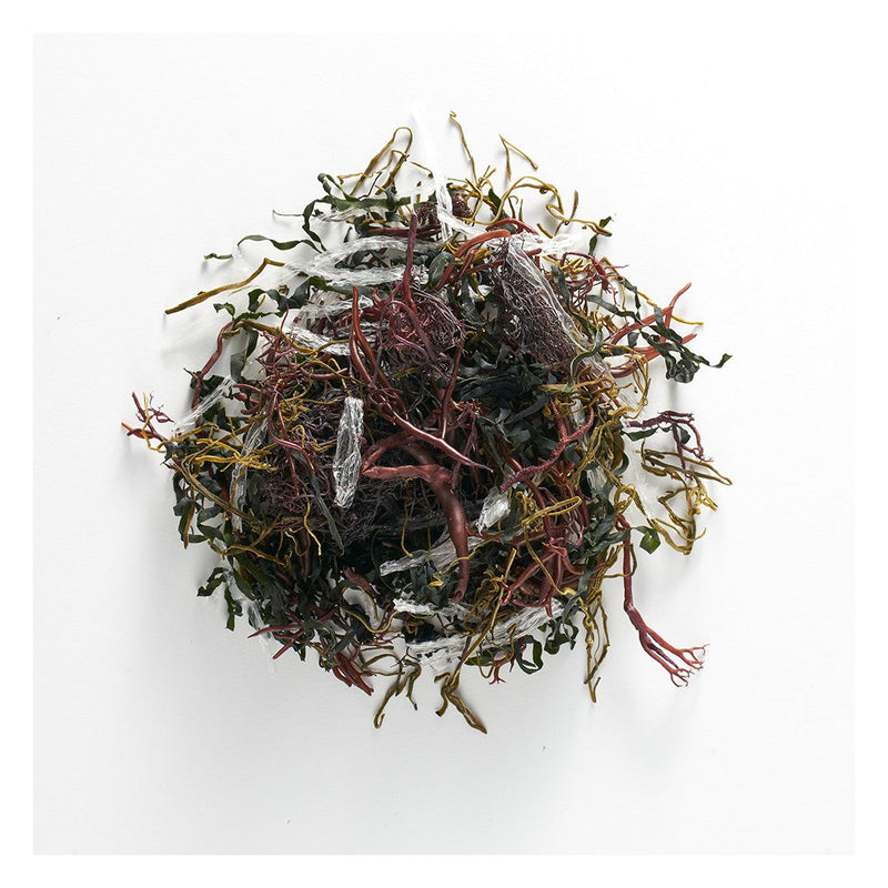 WHOLESALE - Deliver 22 Sep. (Pre-Order) Seaweed Salad blend 모듬해초 - 7g