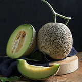 Deliver 12 July. HamAn Musk Melon 함안 머스크 멜론 Approx. 2kg