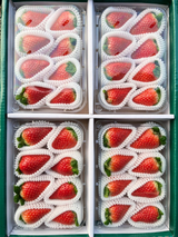 Goldberry Strawberries 골드베리 8~9pc 350g