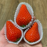 Goldberry Strawberries 골드베리 8~9pc 350g