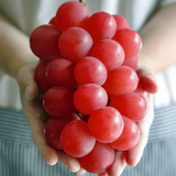 Premium Korean Ruby Roman Grapes 루비로망 500~600g 1pc