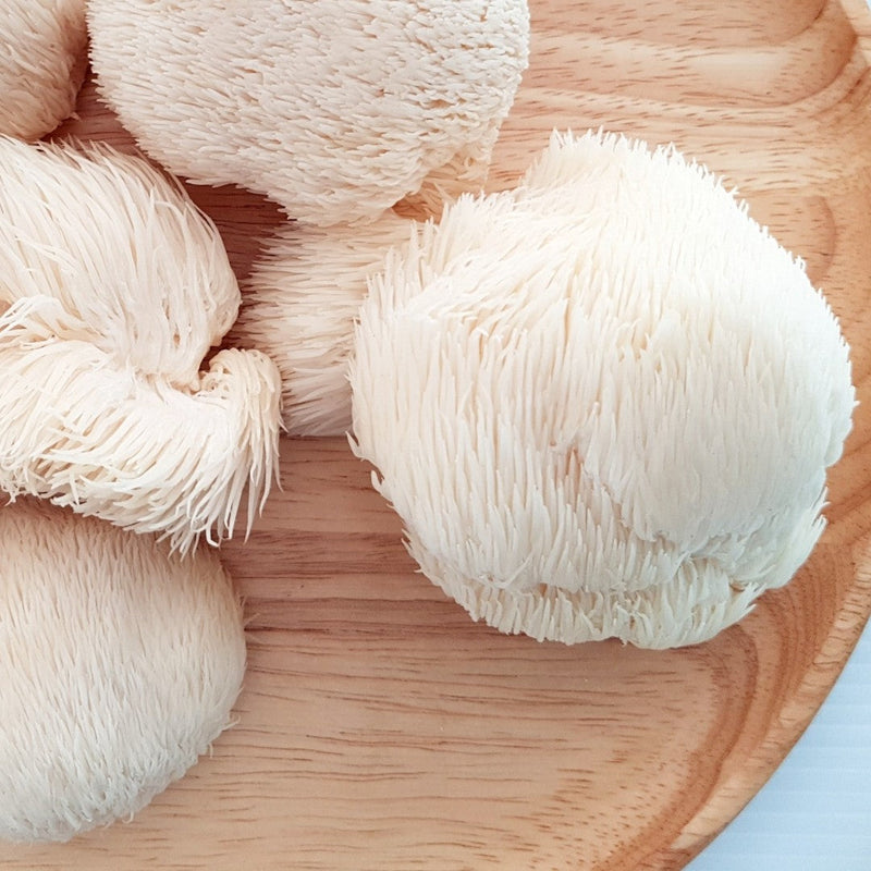 WHOLESALE - Deliver 22 Sep. (Pre-Order) Roe Deer Butt Mushroom 노루궁뎅이버섯(Noru-gung-deng-i) - approx. 1kg