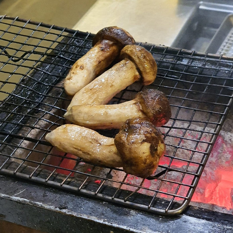 WHOLESALE - Deliver 22 Sep. (Pre-Order) Korean Matsutake (Songi Beoseot) 송이버섯 Mushroom - 1kg
