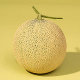 WHOLESALE -  (Pre-Order) Master Cho's Musk Melon 한국 장인의 멜론 - Approx. 2kg