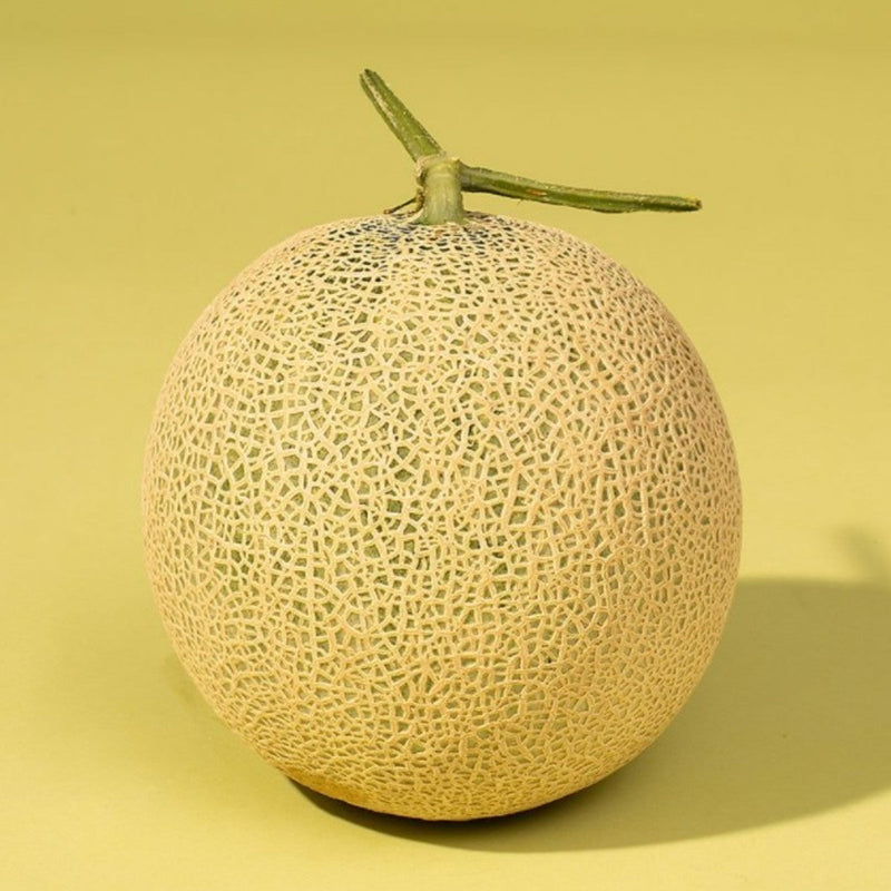 WHOLESALE - Deliver 22 Sep. (Pre-Order) Master Cho's Musk Melon 한국 장인의 멜론 - Approx. 2kg