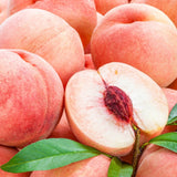 Deliver 14 Aug. Premium Korean White Peach 백도 복숭아 1.2kg 4pcs