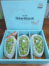 Premium Sangju Shine Muscat 샤인머스켓 선물세트  Gift Set (3pc)