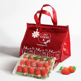 Premium Jukhyang Strawberries 죽향딸기  - 500g / 15pcs /1 Layer