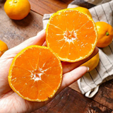 Premium Jeju Bulrocho Tangerine 제주 불로초 감귤 - 1.5kg