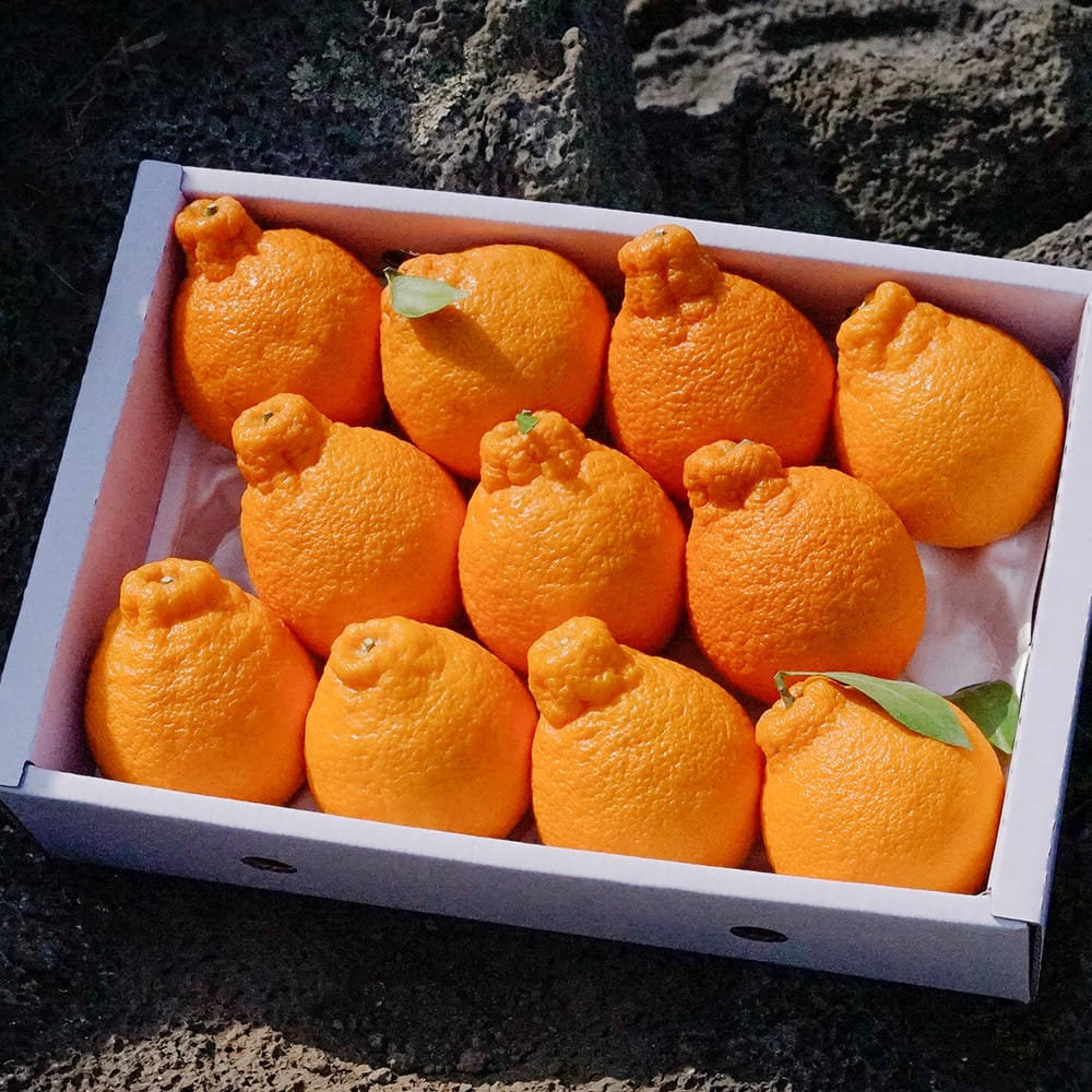 4214221f-44a6-4725-b677-