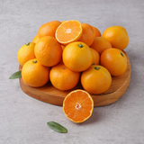 Jeju Tyvek Tangerine 타이벡감귤 - approx. 1kg