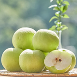 Greensis Korean Pear 그린시스배 3pc 1.2kg
