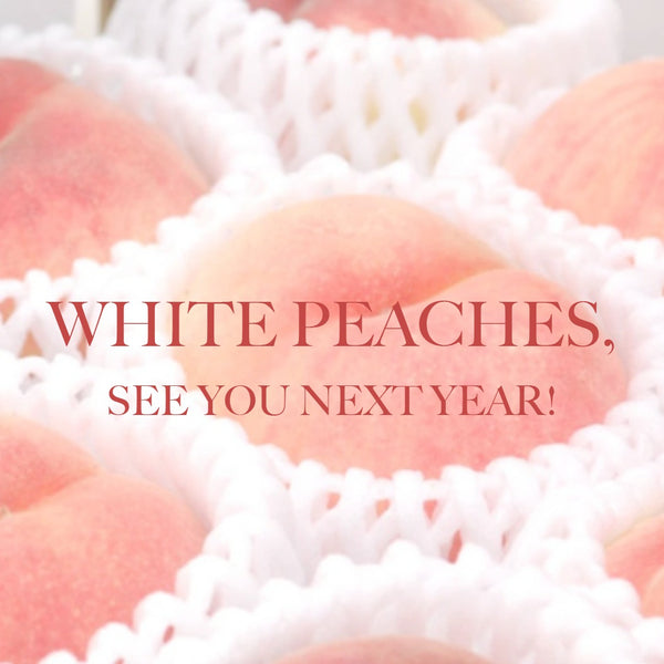 Premium Korean White Peach 백도복숭아