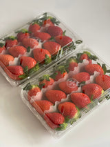 Premium Jukhyang Strawberries 죽향딸기  - 500g / 15pcs /1 Layer