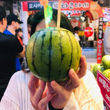 Korea Apple Watermelon 애플수박 2pc 2kg
