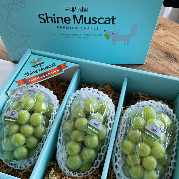 Premium Sangju Shine Muscat 샤인머스켓 선물세트  Gift Set (3pc)