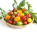 Deliver 27 Sep. (Pre-Order) Organic Colour Date tomato (Jujube tomato) 컬러대추토마토  700g