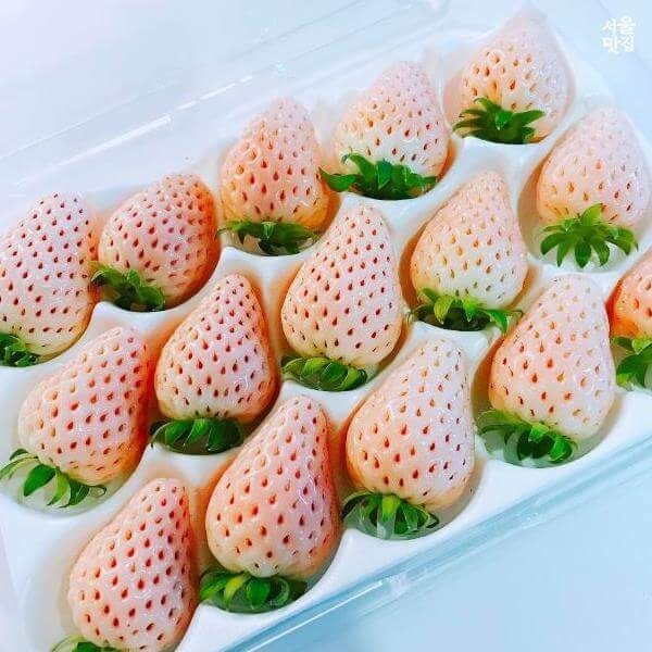Premium Korean Snowberry 만년설딸기 500g/15pc/Punnet