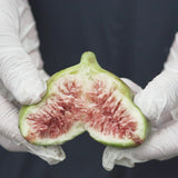 Premium Korean Muhwadam Organic Fresh Green Figs 오가닉 청무화과 - approx. 600g