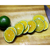Make your own Chung-Gyul-Cheong 청귤청키트 (Green tangerine syrup) kit