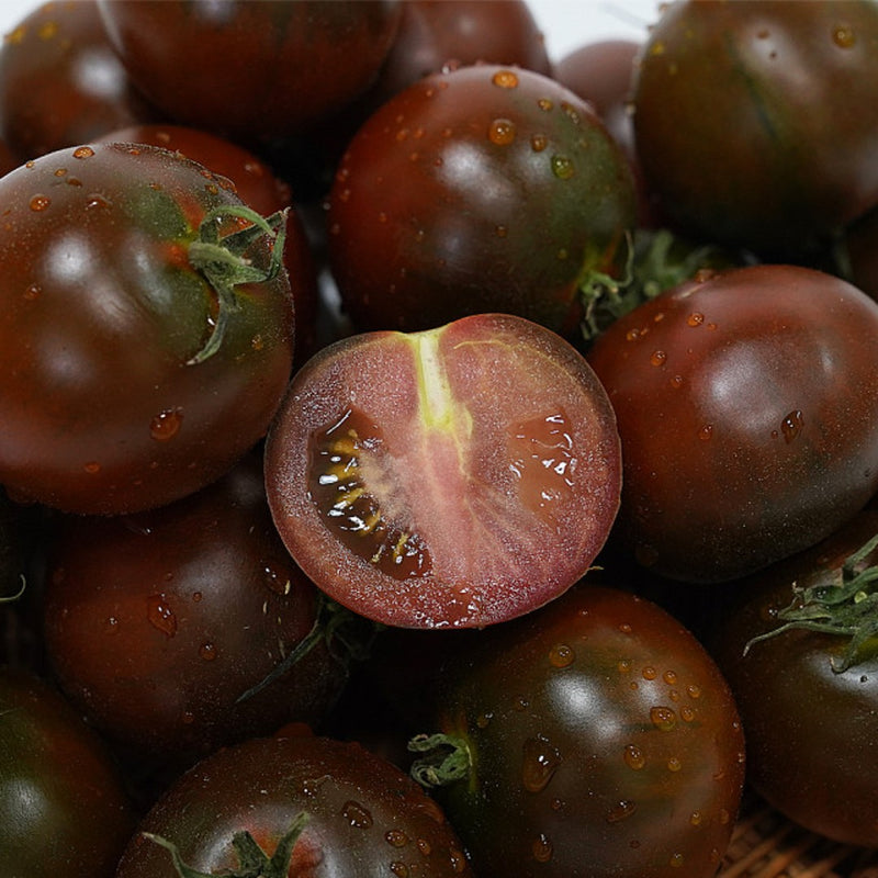 Organic Heuk tomato (오가닉 흑토마토) Kumato 