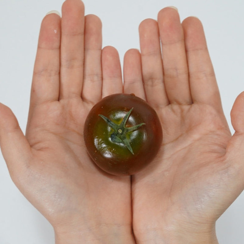 Deliver 12 July. (Pre-Order) Organic Heuk tomato (오가닉 흑토마토) Kumato - 1kg