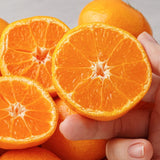 Jeju tangerine