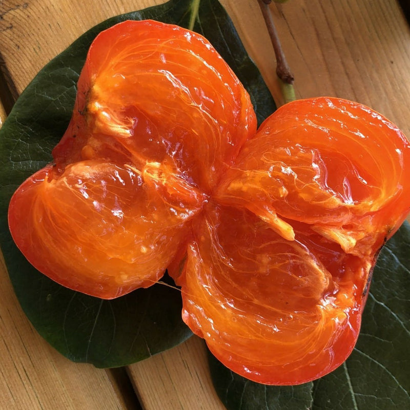 Korean Bansi 반시 Persimmons 감 - 4pcs / punnet