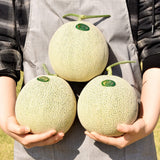 Deliver 12 July. (Pre-Order) Premium Korean Musk Melon 멜론 - approx. 2kg
