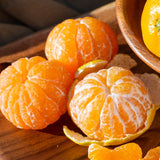 Premium Jeju Bulrocho Tangerine 제주 불로초 감귤 - 1.5kg