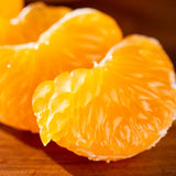 Premium Jeju Bulrocho Tangerine 제주 불로초 감귤 - 1.5kg