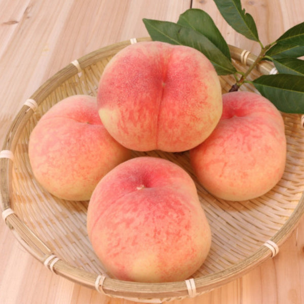 Korean White Peaches